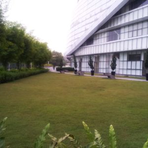 Venue - Garden (2)