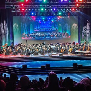 Orchestra