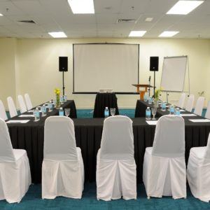 Venue - Corporate Meeting Setup (2)