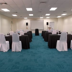 Venue - Corporate Meeting Setup (3)
