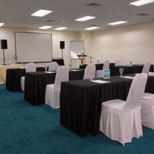 Venue - Corporate Meeting Setup (4)
