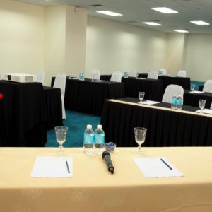 Venue - Corporate Meeting Setup (5)