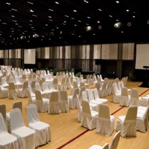 Venue - Conference (1)